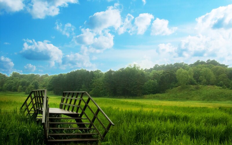 Wooden bench in a green field