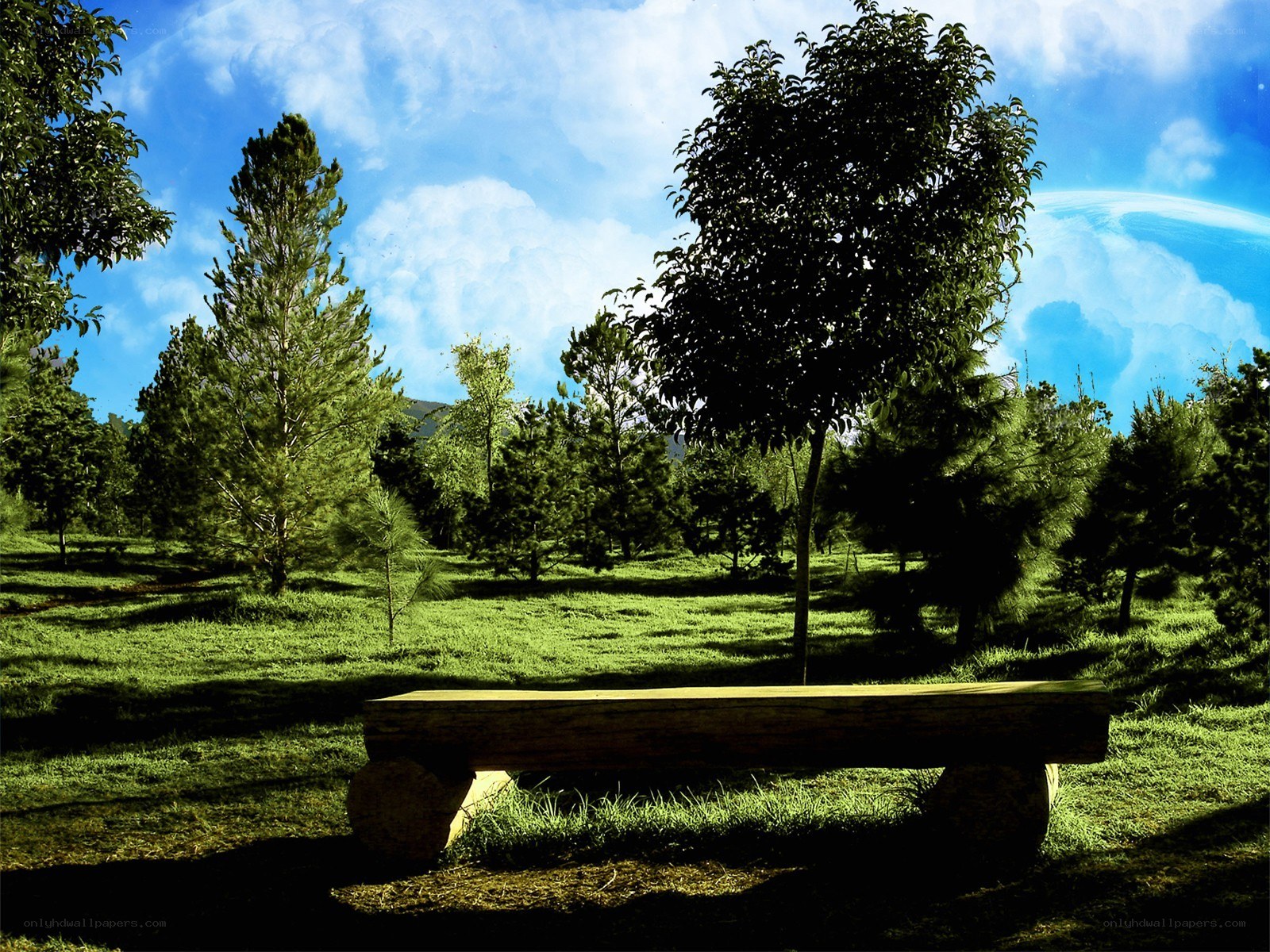 Wooden bench in a park