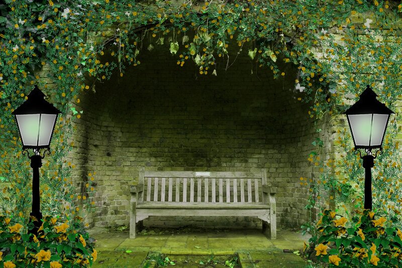 Wooden Bench in Arbor