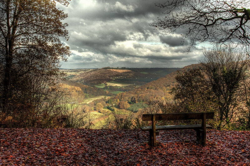 Wooden Bench in Autumn — Brown