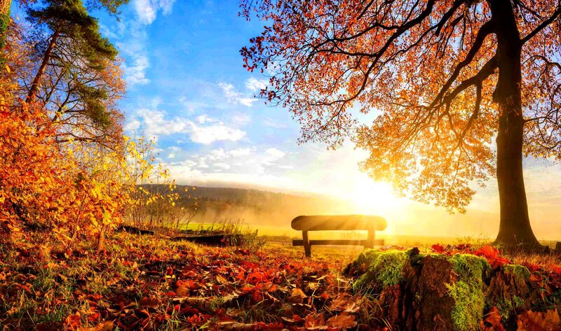 Wooden Bench in Autumn — Orange, Serene, Sunset