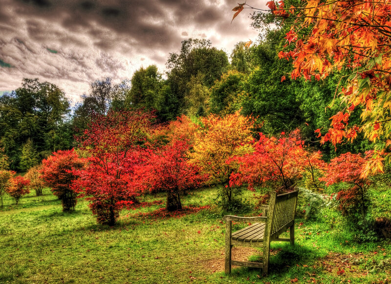 Wooden Bench in Autumn Park — Red