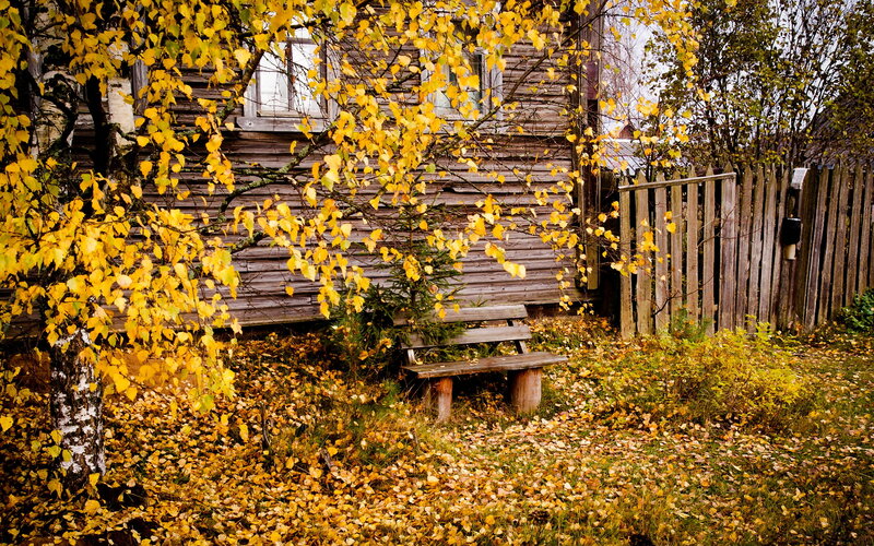 Wooden Bench in Autumn — Yellow, Serene