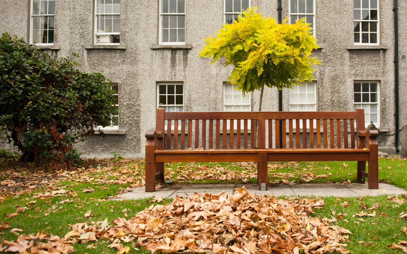 Wooden Bench in Courtyard