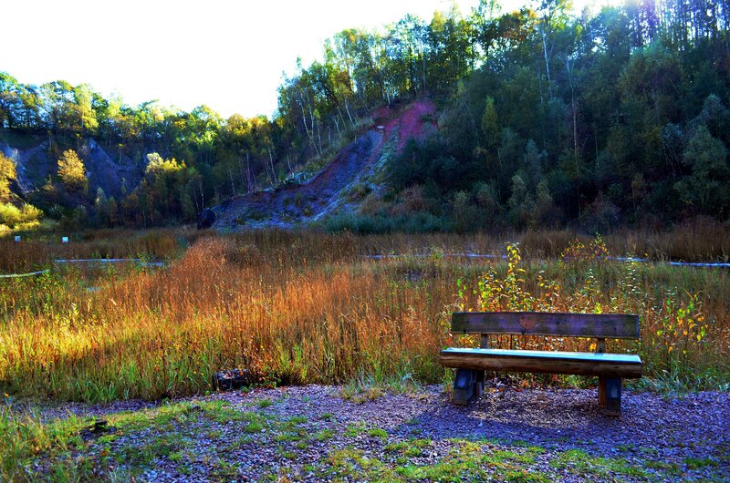 Wooden Bench in Field — Brown, Serene