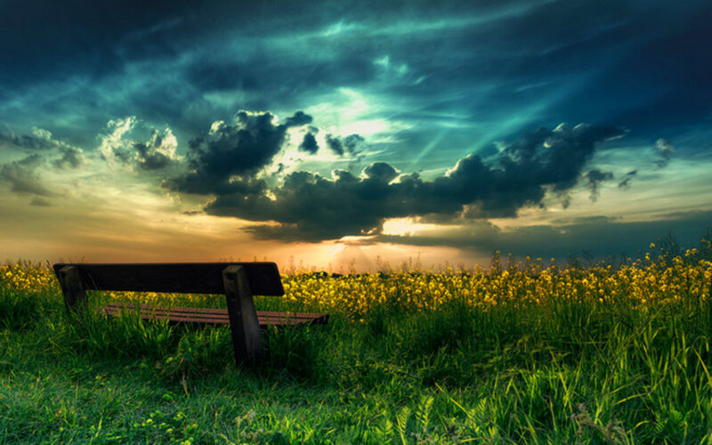 Wooden Bench in Field — Green, Dramatic