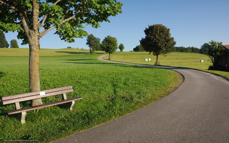 Wooden Bench in Field — Green, Serene, Afternoon, Photograph, Path