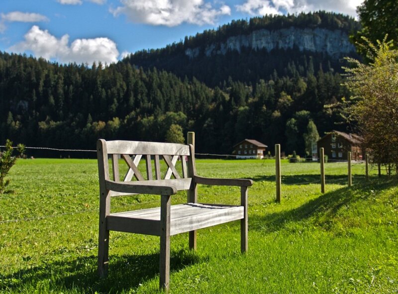 Wooden Bench in Field — Green, Serene, Afternoon, Photograph