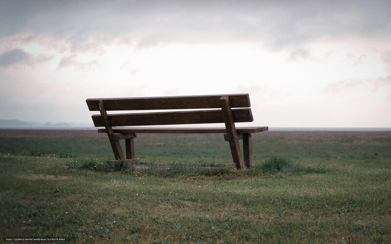 Wooden Bench in Field — Green, Serene, Sunset, Photograph, Grass, Sky