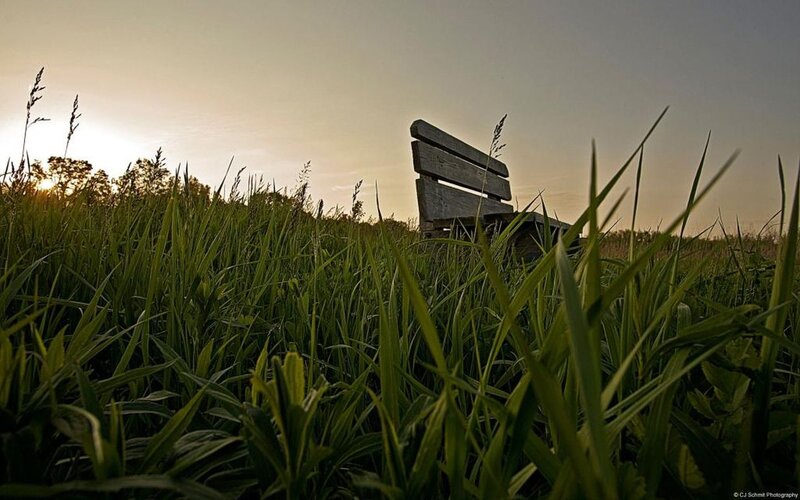 Wooden Bench in Field — Green, Serene, Sunset, Photograph, Grass
