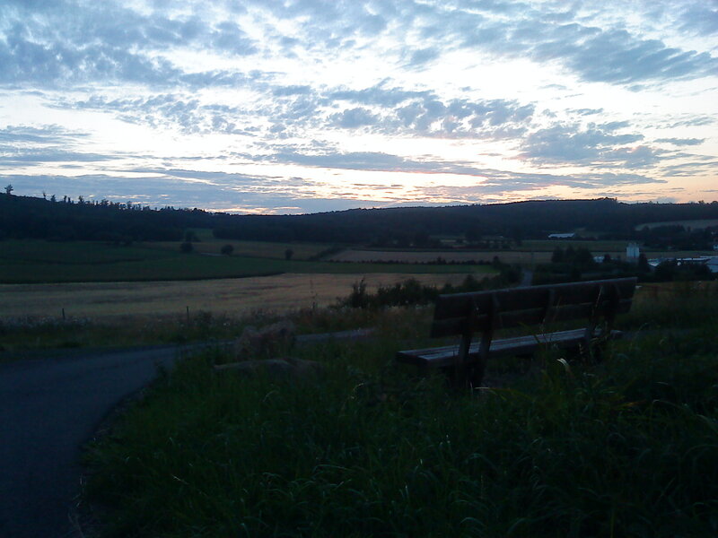 Wooden Bench in Field — Green, Serene, Sunset