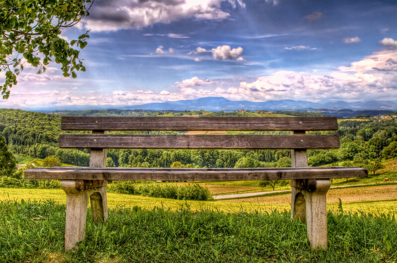 Wooden Bench in Field — Green, Serene