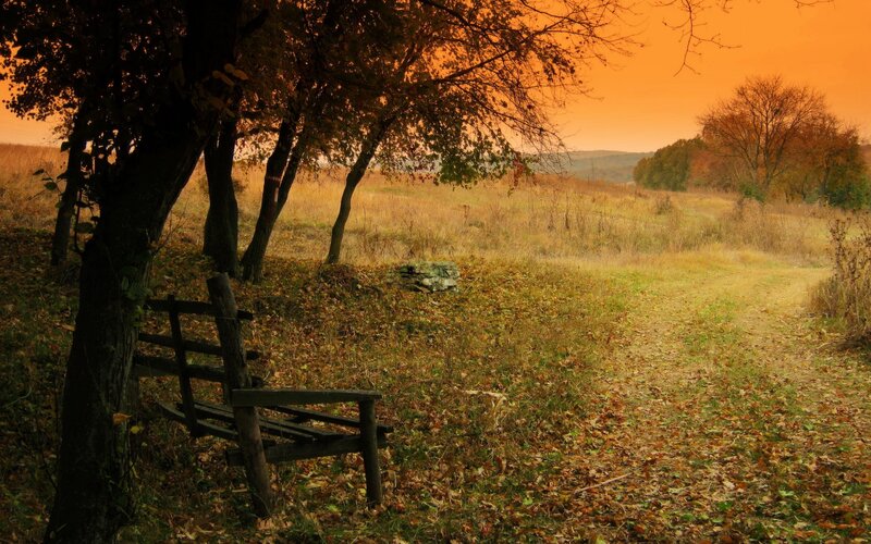 Wooden Bench in Field — Orange, Serene, Sunset