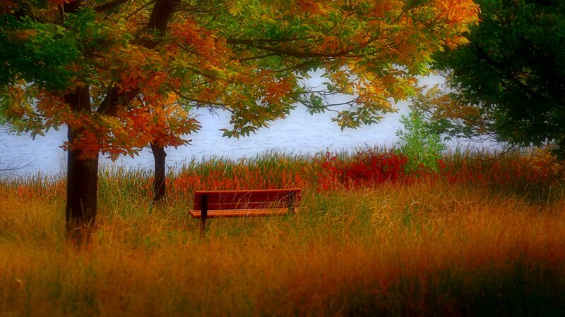 Wooden Bench in Field — Orange