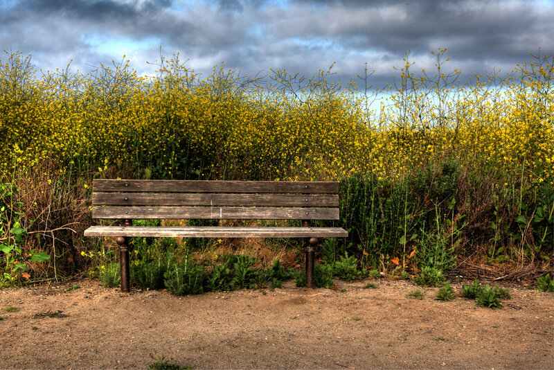 Wooden Bench in Field — Yellow