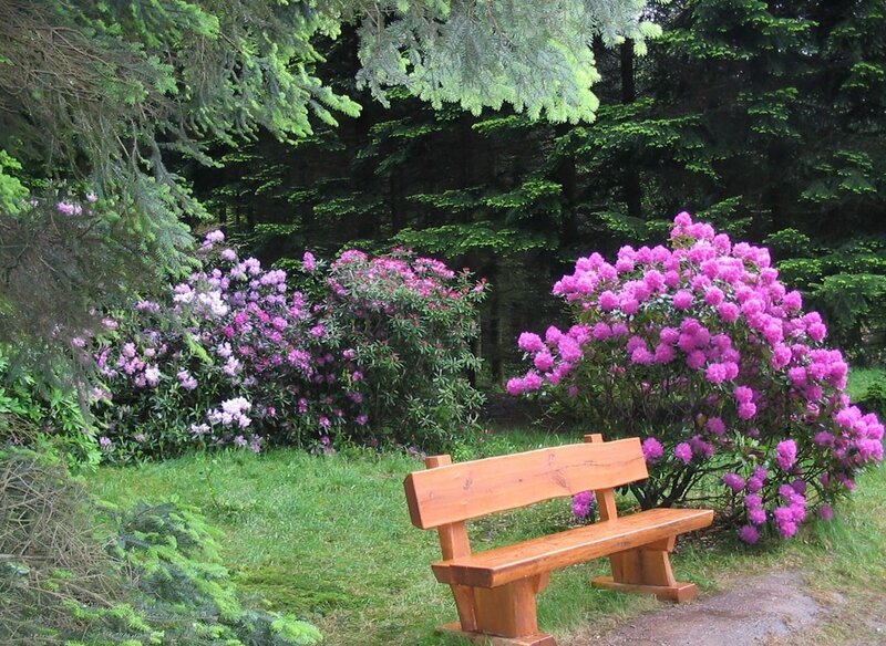 Wooden bench in flower garden