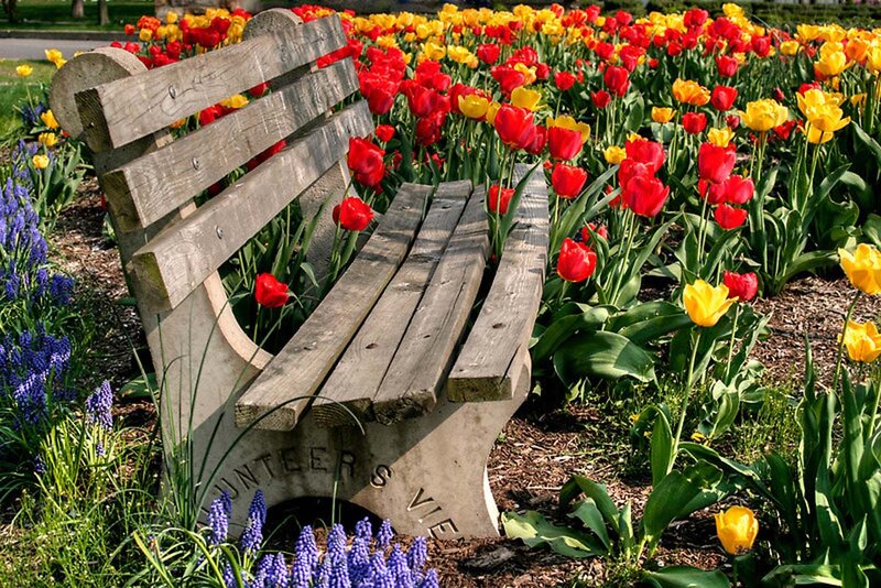 Wooden Bench in Flower Garden — Red