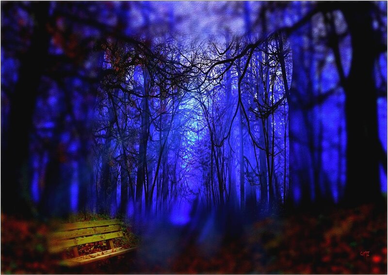 Wooden Bench in Forest — Blue
