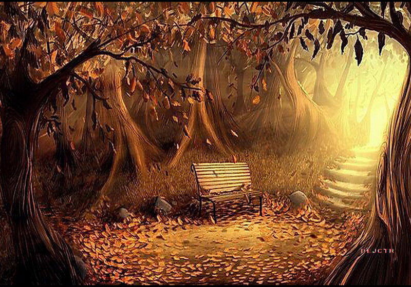 Wooden Bench in Forest — Brown, Serene, Autumn, Digital Art, Trees