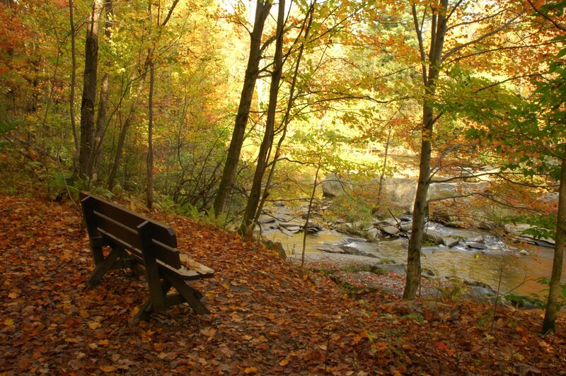 Wooden Bench in Forest — Brown, Serene, Autumn, Photograph, River