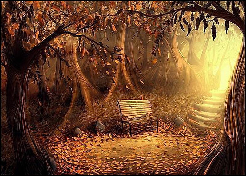 Wooden Bench in Forest — Brown