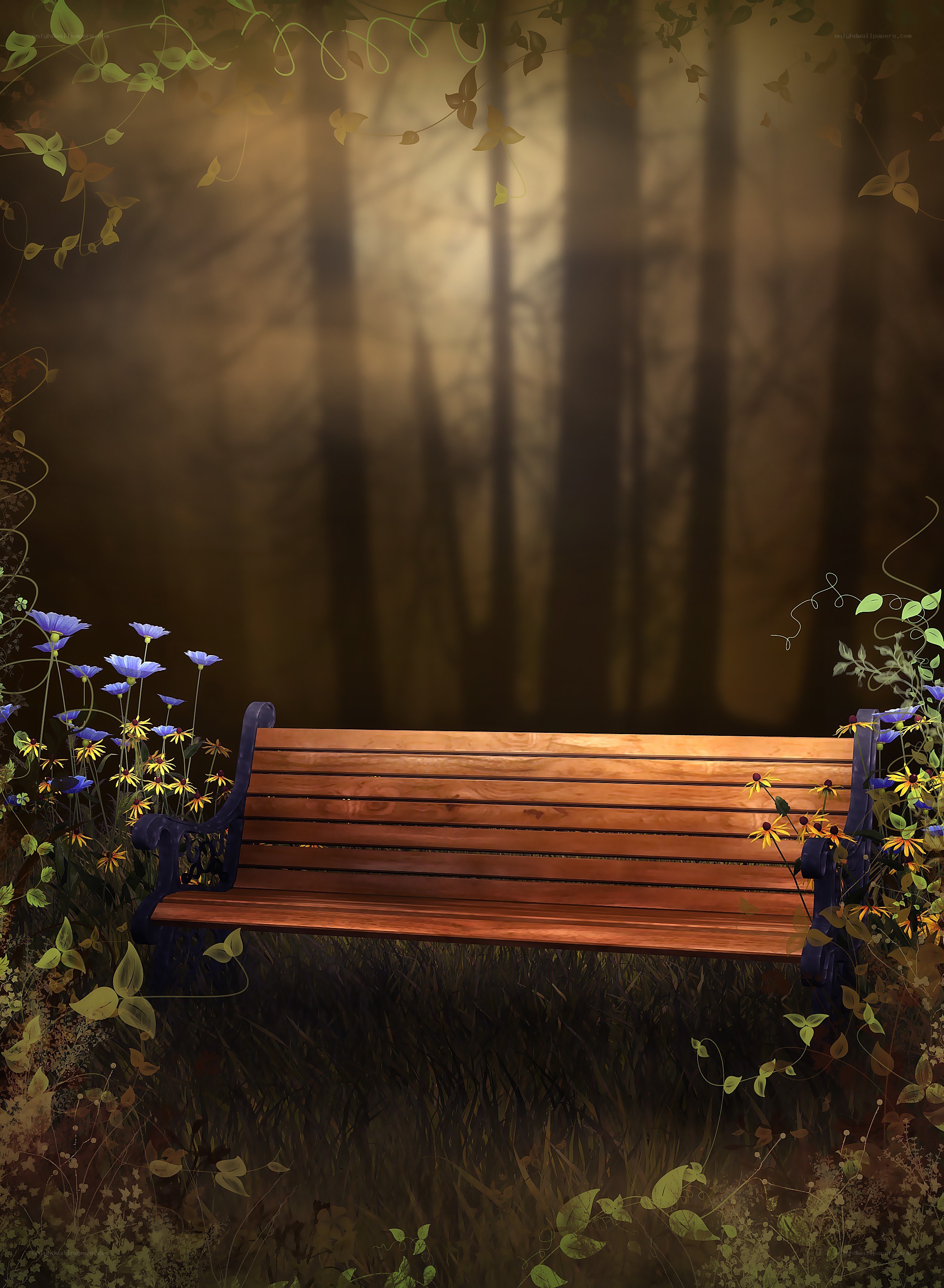 Wooden bench in forest clearing