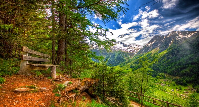 Wooden Bench in Forest — Green, Serene, Afternoon, Photograph, Mountains