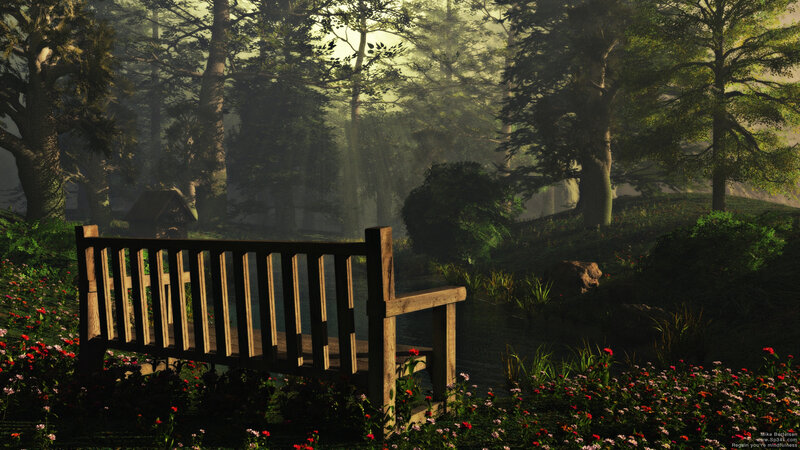 Wooden Bench in Forest — Green, Serene, Morning, 3d Render