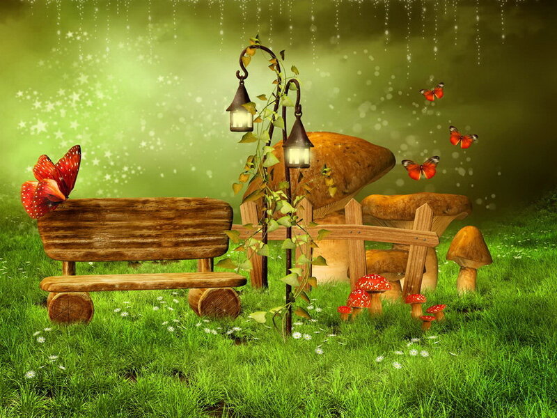 Wooden Bench in Forest — Green, Serene, Night