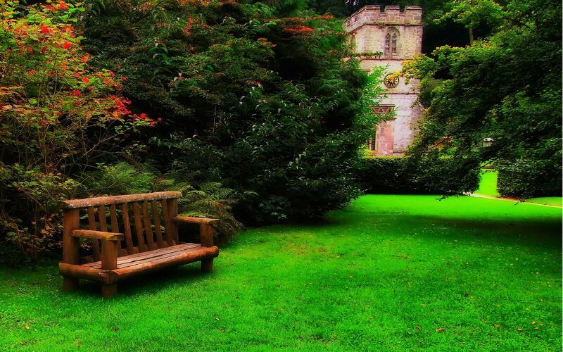 Wooden bench in garden