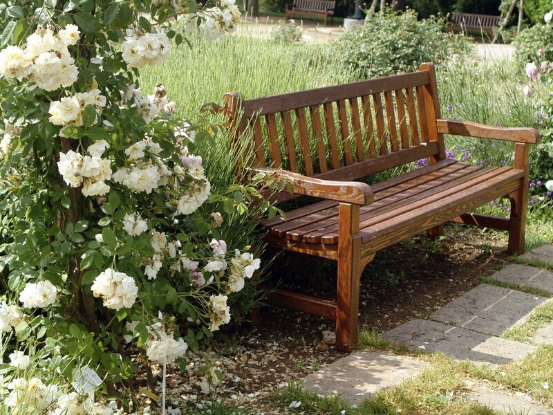 Wooden bench in garden