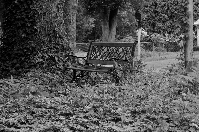 Wooden Bench in Garden — Black