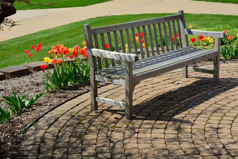 Wooden Bench in Garden — Brown, Serene, Spring