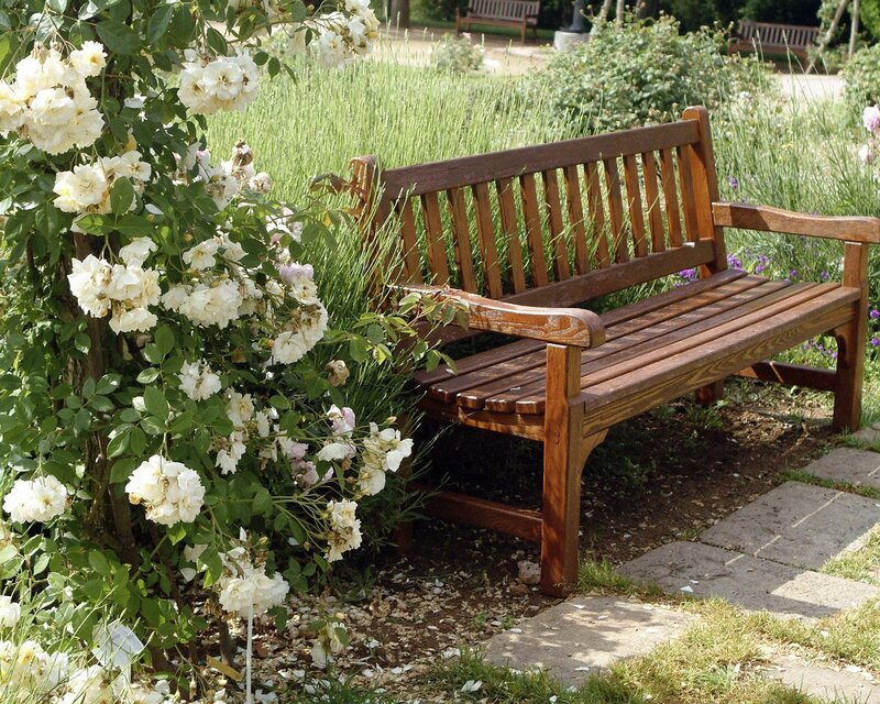 Wooden Bench in Garden — Brown, Serene