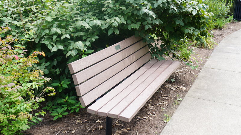 Wooden Bench in Garden — Green, Calm