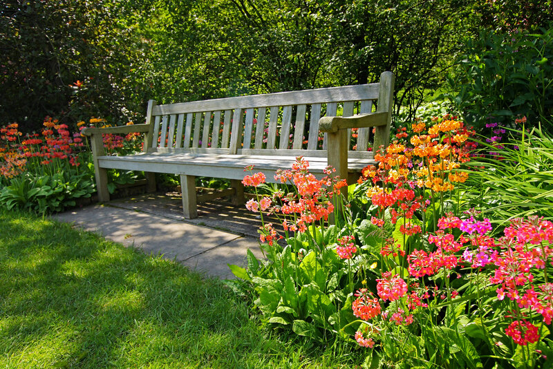 Wooden Bench in Garden — Green, Serene, Afternoon, Photograph, Flowers, Grass