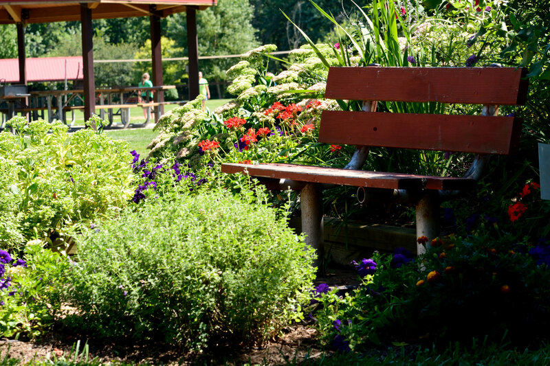 Wooden Bench in Garden — Green, Serene, Afternoon, Photograph, Flowers, Picnic Tables