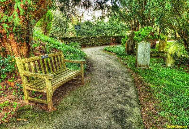 Wooden Bench in Garden — Green, Serene, Afternoon, Photograph, Path