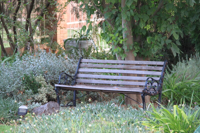 Wooden Bench in Garden — Green, Serene, Afternoon, Photograph