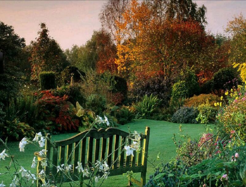 Wooden Bench in Garden — Green, Serene, Autumn, Photograph