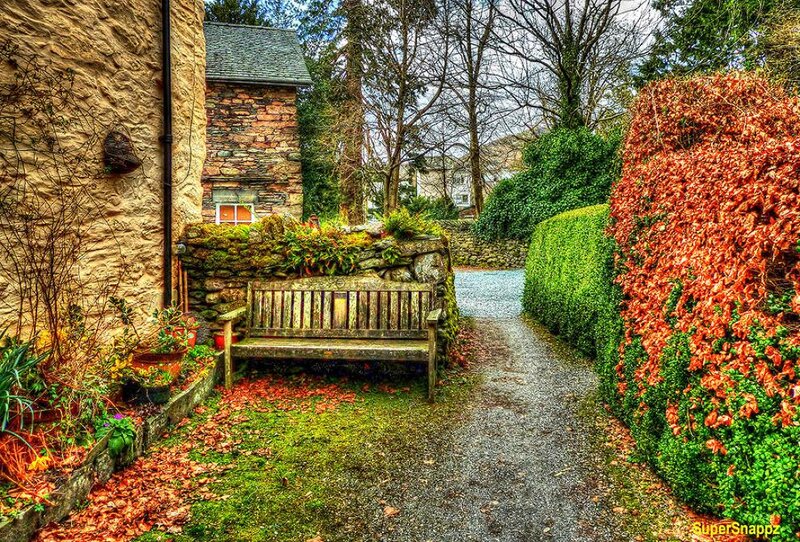 Wooden Bench in Garden — Green, Serene, Autumn