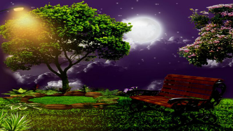 Wooden Bench in Garden — Green, Serene, Night, Digital Art