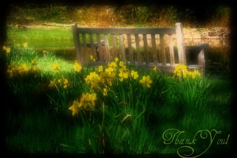 Wooden Bench in Garden — Green, Serene, Spring
