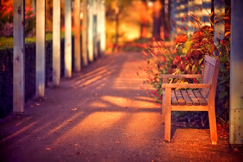Wooden Bench in Garden — Orange