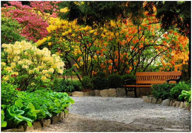 Wooden Bench in Garden — Yellow, Serene
