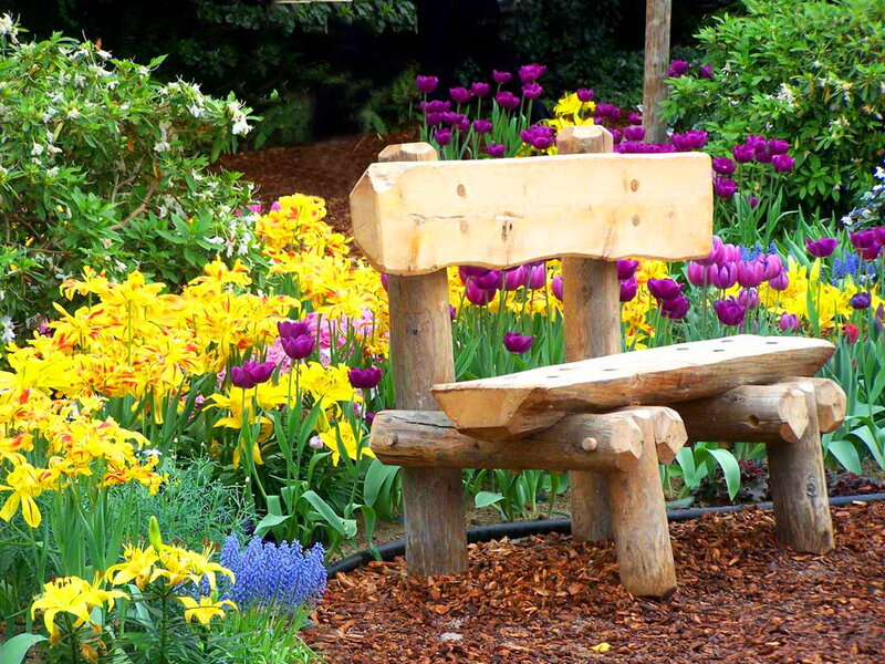 Wooden Bench in Garden — Yellow