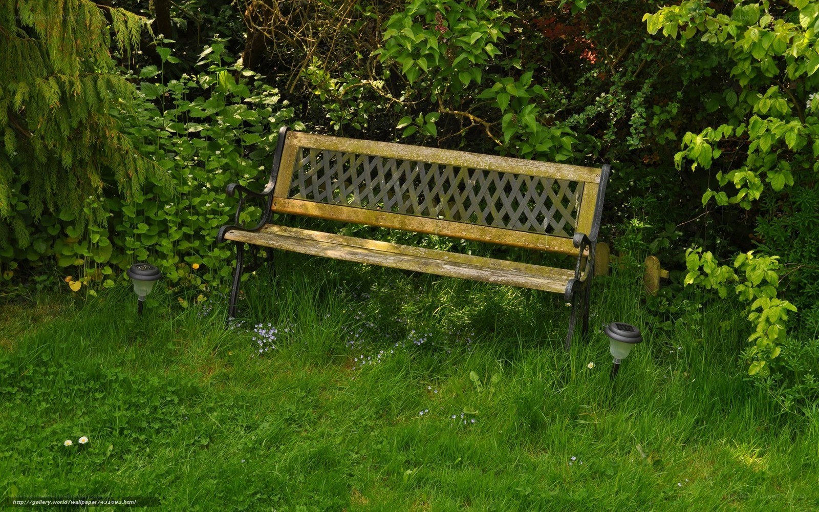 Wooden bench in garden