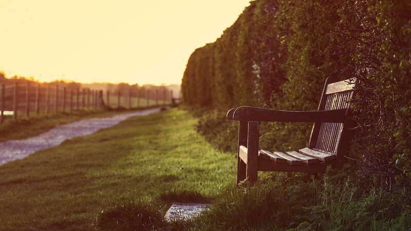 Wooden Bench in Grass — Green