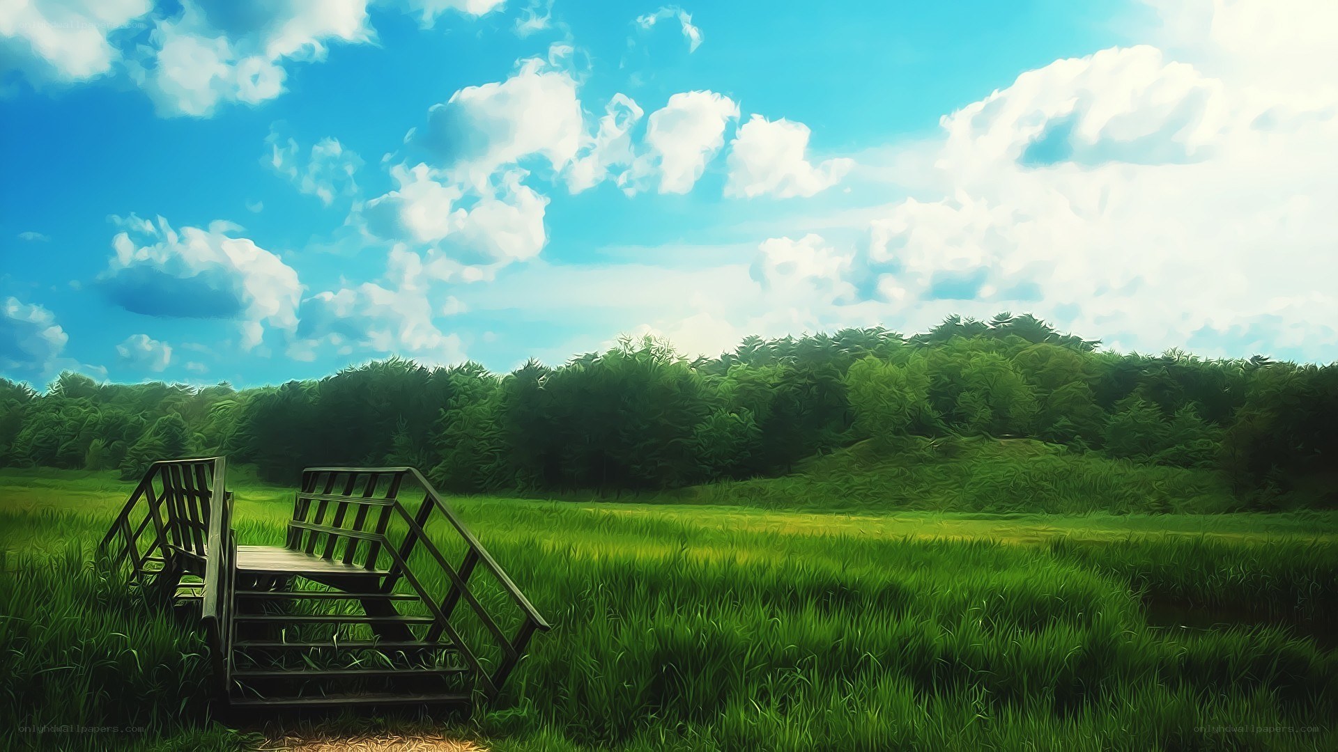 Wooden bench in green field