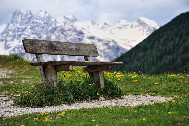Wooden Bench in Meadow — Green